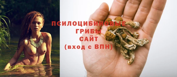 трава Абаза