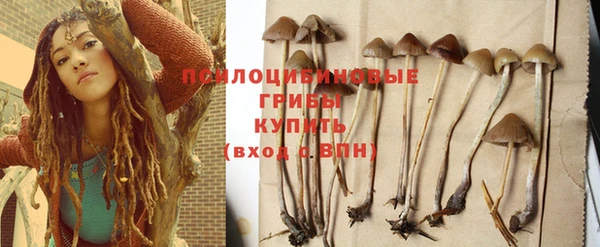 трава Абаза